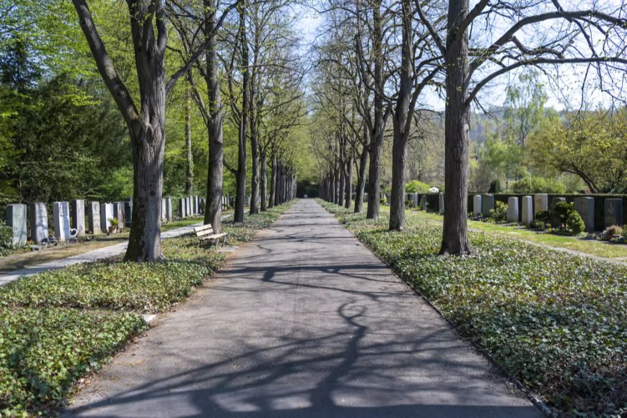 Friedhof
