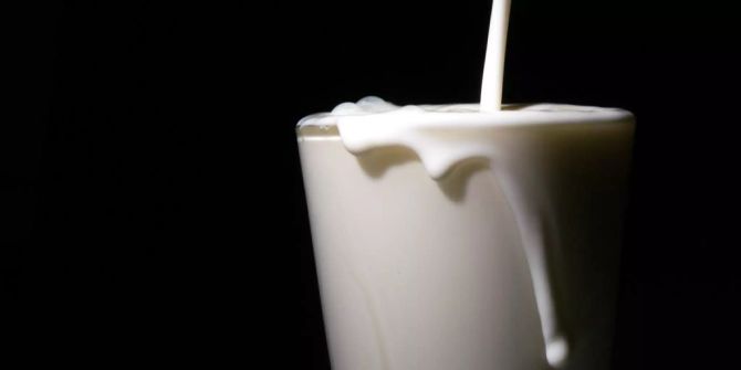 Milch Lebensmittel Stiftung Warentest