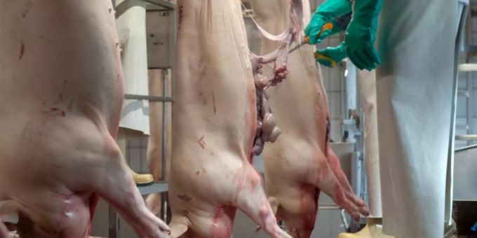 Bonn - Deutsche essen weniger Schwein und mehr Geflügel