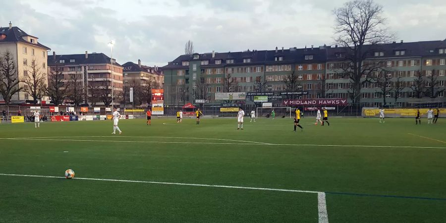 Der Berner Kultverein gewinnt bei Regen gegen YF Juventus (Patrick Balzli)