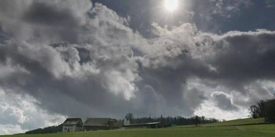 Die Einfahrtstrasse Richtung der Gemeinde Sarmenstorf.