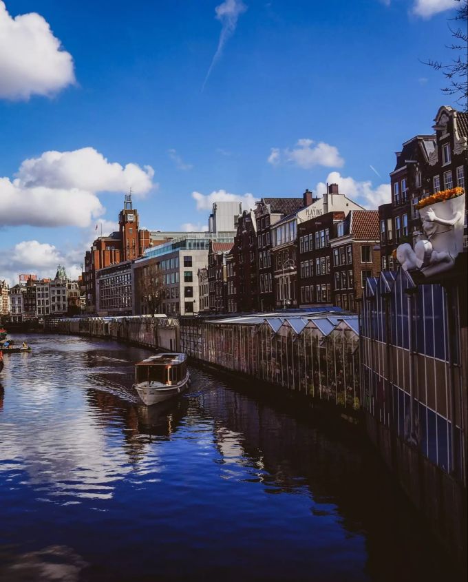 Der Amsterdamer Blumenmarkt. blumenmarkt
