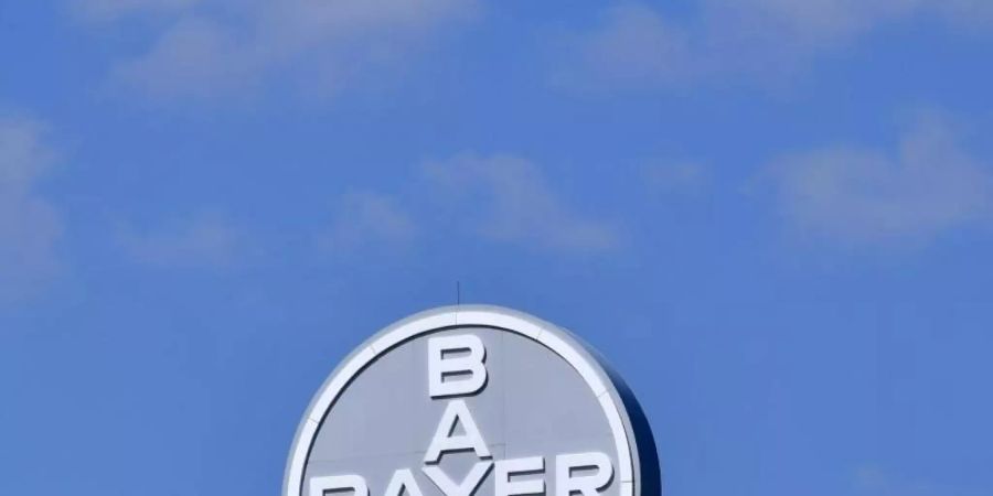 Bayer soll einem Pfirsichbauern zusammen mit BASF Schadenersatz zahlen. Foto: Hendrik Schmidt/dpa-Zentralbild/ZB