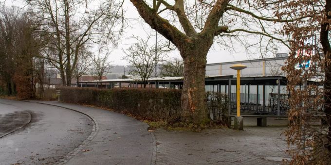 Die Schule von Dottikon. Die Schule von Dottikon.