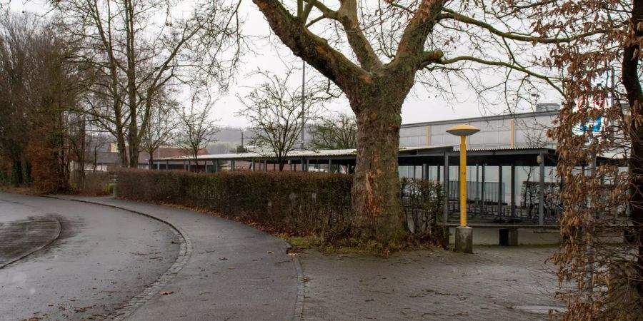 Die Schule von Dottikon.