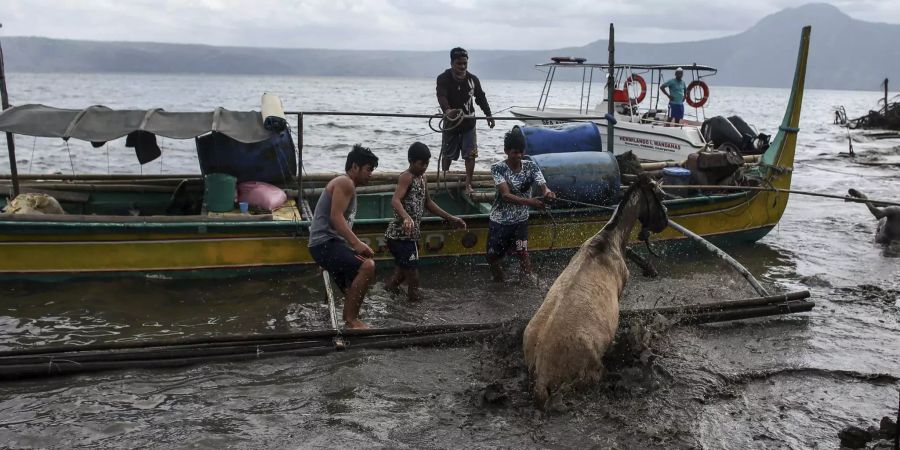 Menschen retten ein Pferd aus dem Schlamm-Wasser.