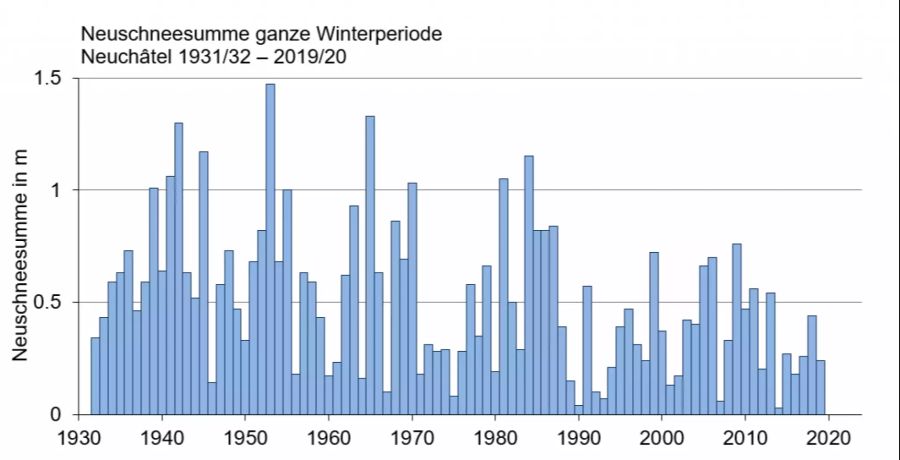 Neuschneesumme pro Winter in Neuenburg.