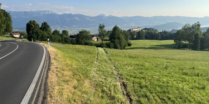 Fahrunfähig Selbstunfall verursacht