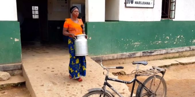 Ein Velo hat das Leben einer Milchbäuerin in Sambia verändert. Sambia