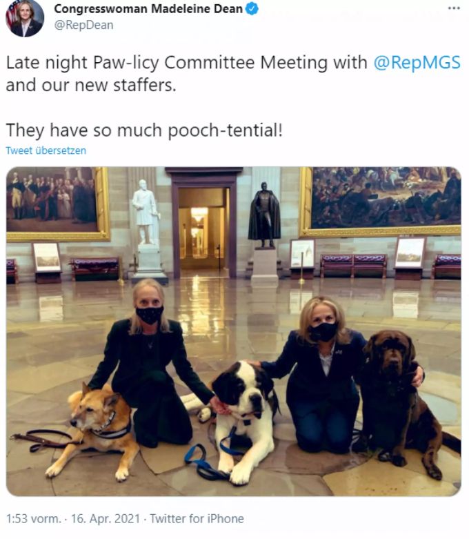 Die drei Therapiehunde mit den Kongressabgeordneten Madeleine Dean und Mary Gay Scanlon. kapitol