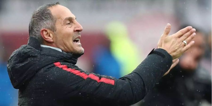franck ribéry