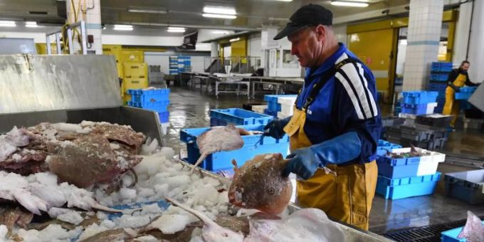 Die Fischfang-Lizenzen haben für Streit bei den Verhandlungen über ein Brexit-Abkommen im vergangenen Jahr gesorgt. Fischer