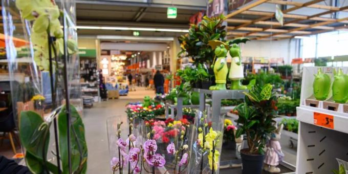 Düsseldorf/Wiesbaden - Rekordumsatz für Gartenbranche - Baumärkte Gewinner