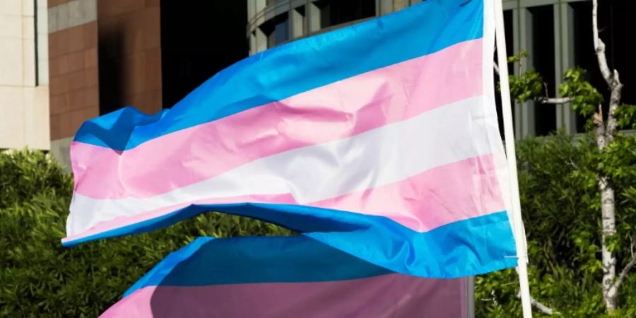 Transgender-Prideflag