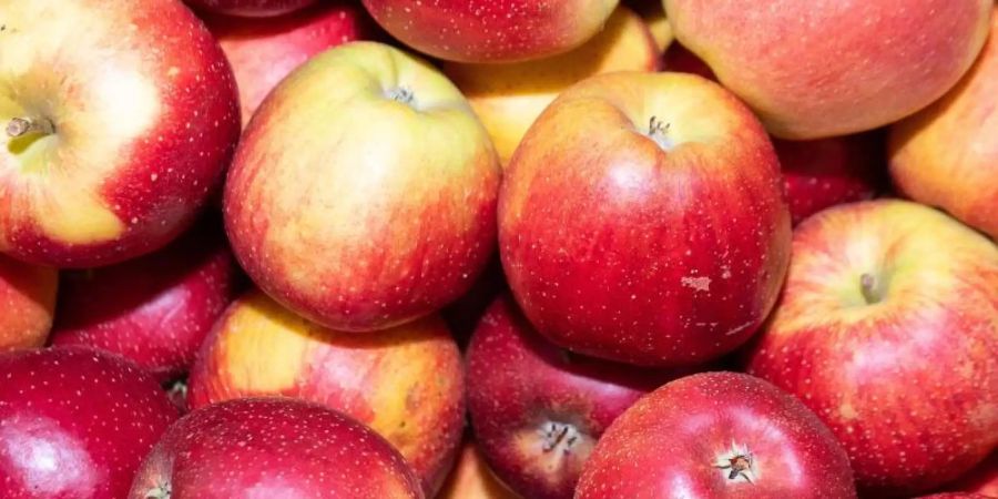Äpfel liegen einem Lager eines Apfelanbaubetriebs in Rheinland-Pfalz. Foto: Sebastian Gollnow/dpa