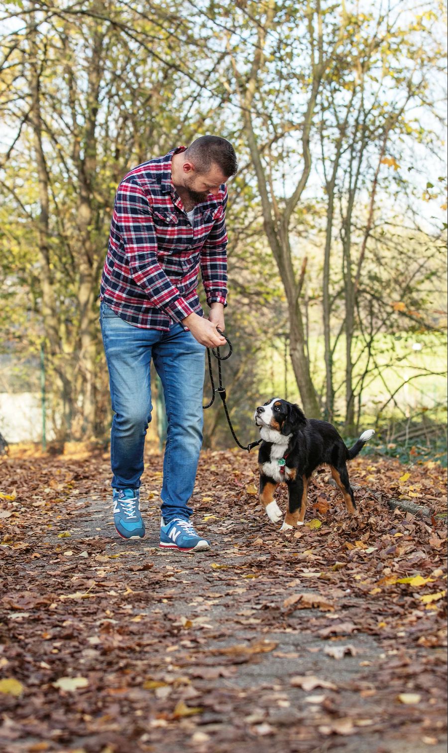 Mann Hund Leine Blätter Herbst