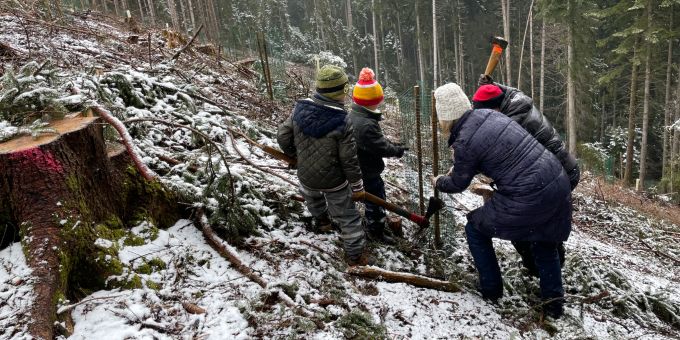 SVP Konolfingen pflanzt zusammen mit Freiwilligen Bäume im Lockenbergwald. SVP Konolfingen