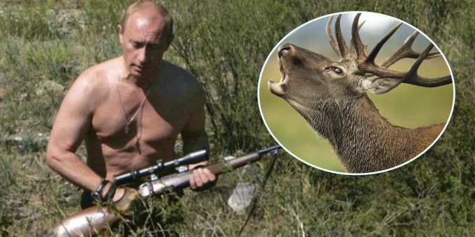 Kreml-Chef todkrank? - Putin badet in blutigen Hirschgeweihen
