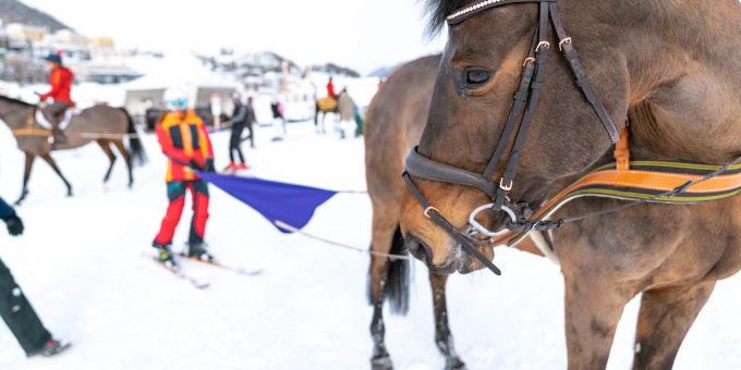Beim berittenen Skijöring werden die Skifahrer von einem Pferd über den See gezogen. St. Moritzersee Skijöring