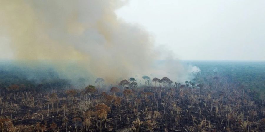 Brand im südlichen Amazonasgebiet in Brasilien