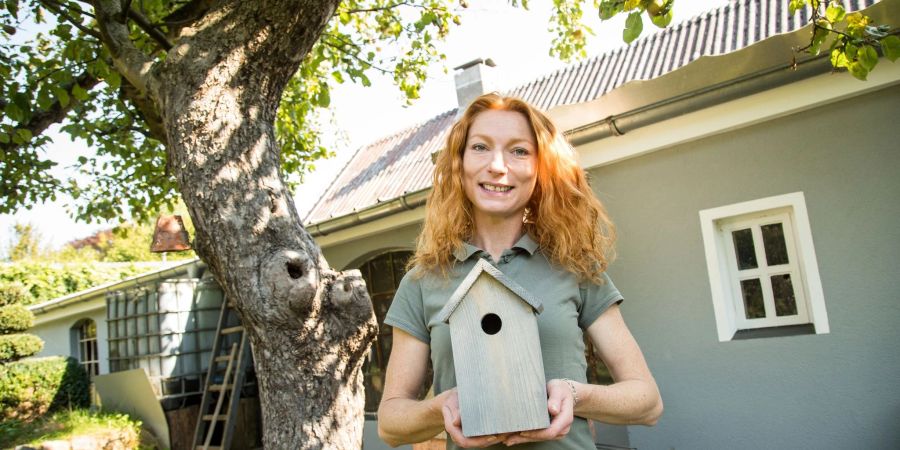 Ein schönes Plätzchen dafür im Garten suchen: Nistkästen nutzen Vögel nicht nur, um dort ihren Nachwuchs aufzuziehen.