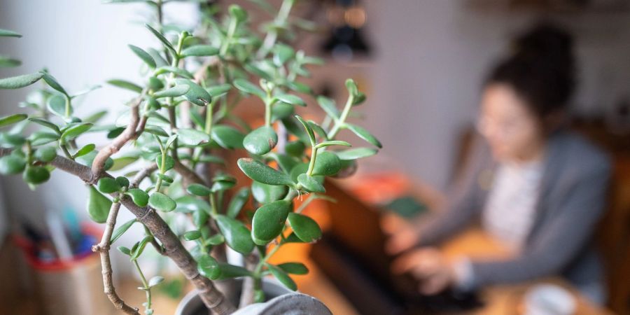 ZuIst das nun ein Arbeitszimmer oder ist es das nicht? Sehen Finanzbeamte hierbei Klärungsbedarf, können sie Steuerpflichtige um Aufklärung bitten.