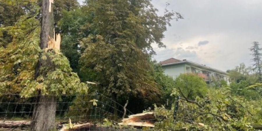 basel gewitter