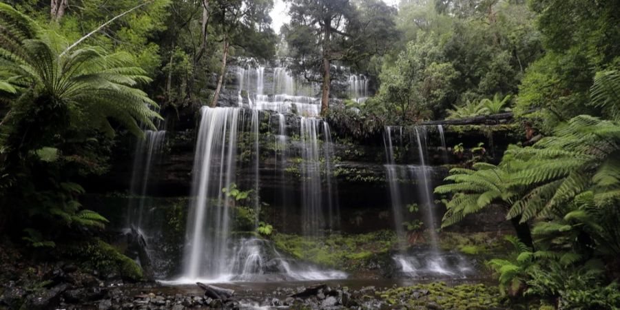 tasmanien