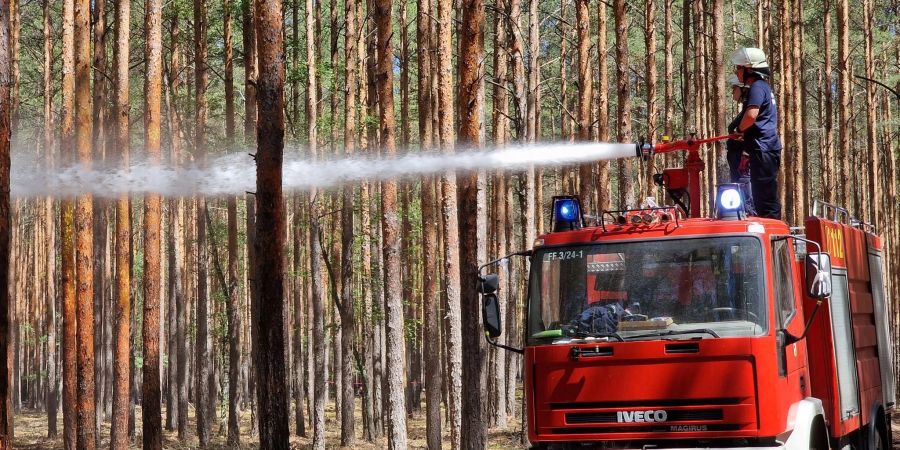 Die Feuerwehr löscht nach Waldbränden Glutnester.