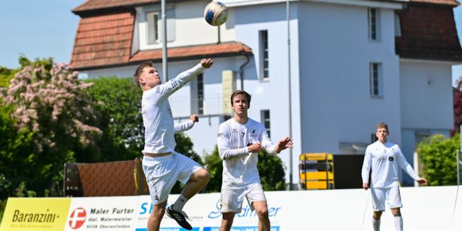 Faustball Herren