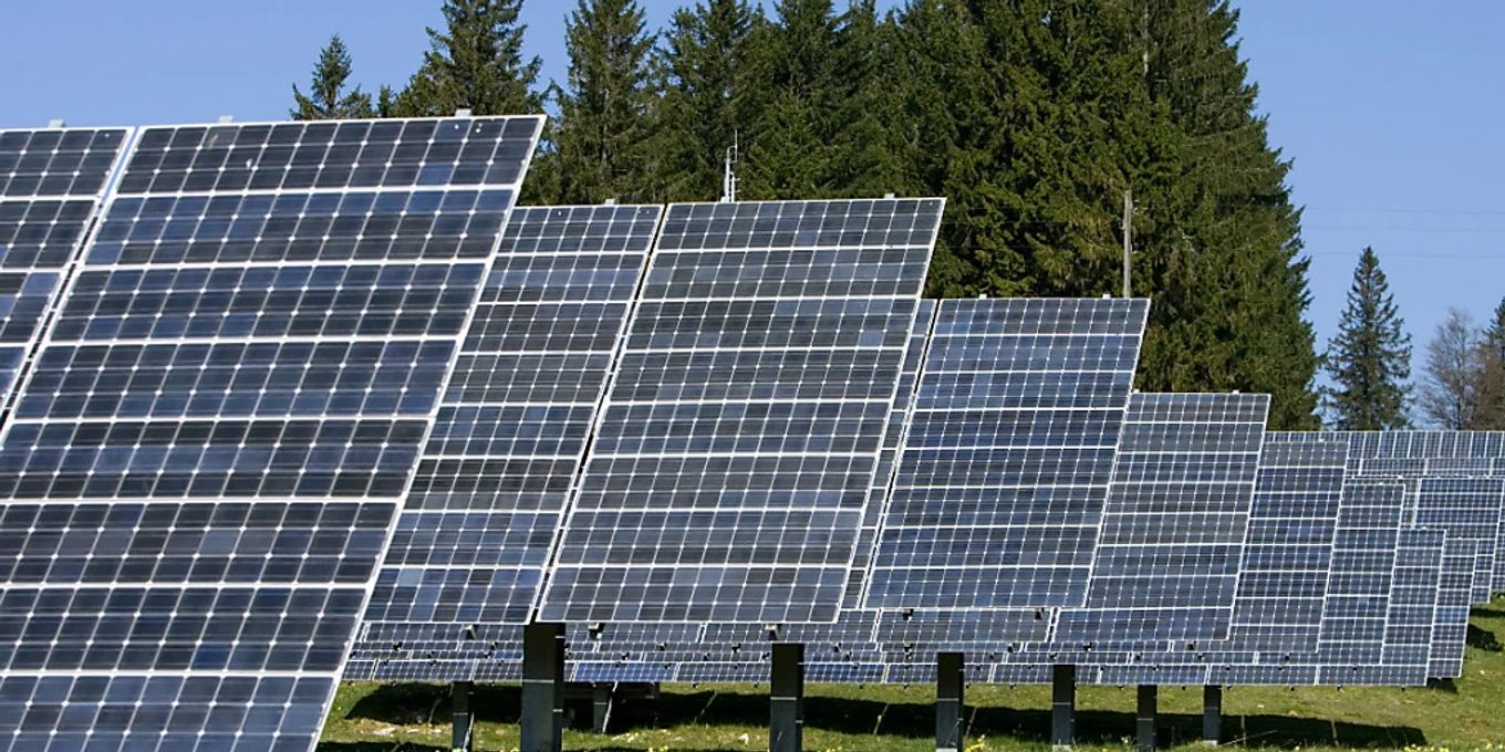 BKW: Nächstes Solar-Projekt vor dem Aus? | BärnerBär
