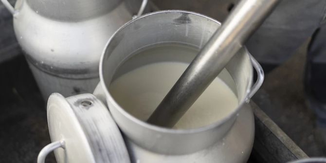 Milch
