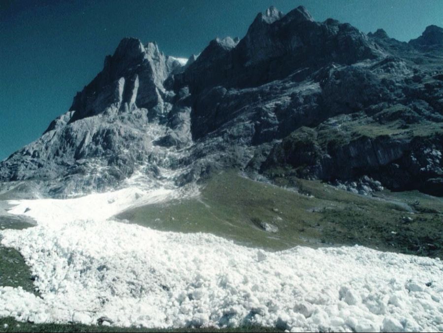 Sie sind davon überzeugt, dass das Gebiet herrenlos ist. Die vier denken, eine einfache Aneignungserklärung reicht aus, um das Land in Besitz nehmen zu können.