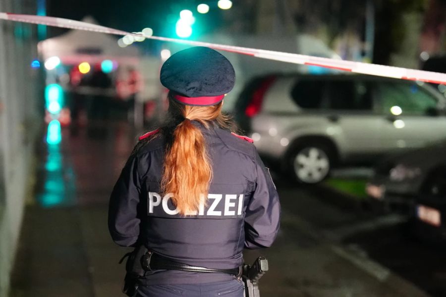 Der 27-jährige mutmassliche Dreifachmörder sitzt in Haft.