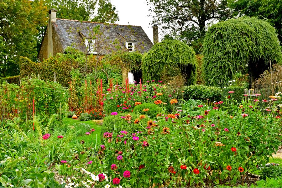 Garten mit heimischen Pflanzen