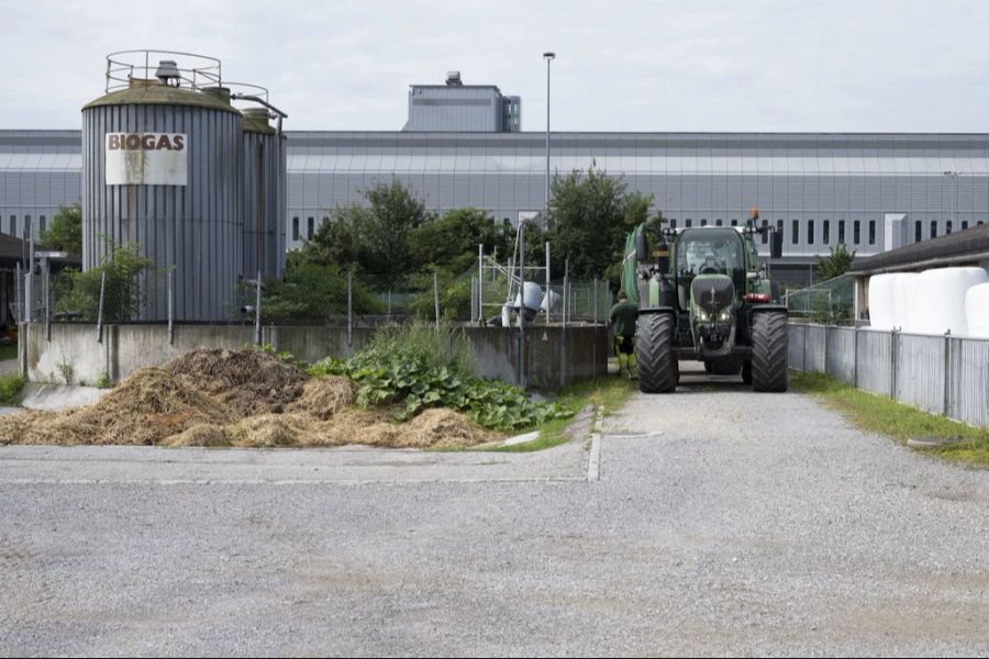 Das hat zu sehr hohen Gülle-Pegelständen in den Silos der Höfe geführt. (Symbolbild)