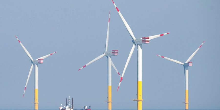 Offshore-Windpark in der Nordsee. Windräder auf dem Meer haben laut einer neuen Studie negativen Einfluss auf die Bestände von Seetauchern.