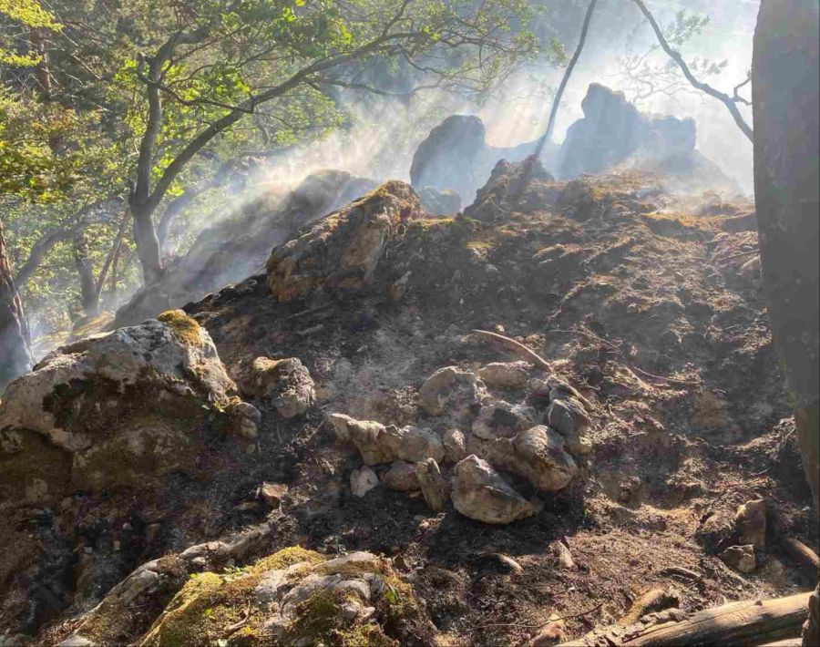 Erhebliche Waldbrandgefahr