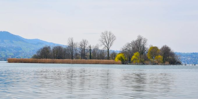Die Lützelau ist rund 300 Meter lang und an der breitesten Stelle rund 150 Meter breit. Die Fläche beträgt 3,38 ha. Die neue Saison beginnt Ende Monat lützelau