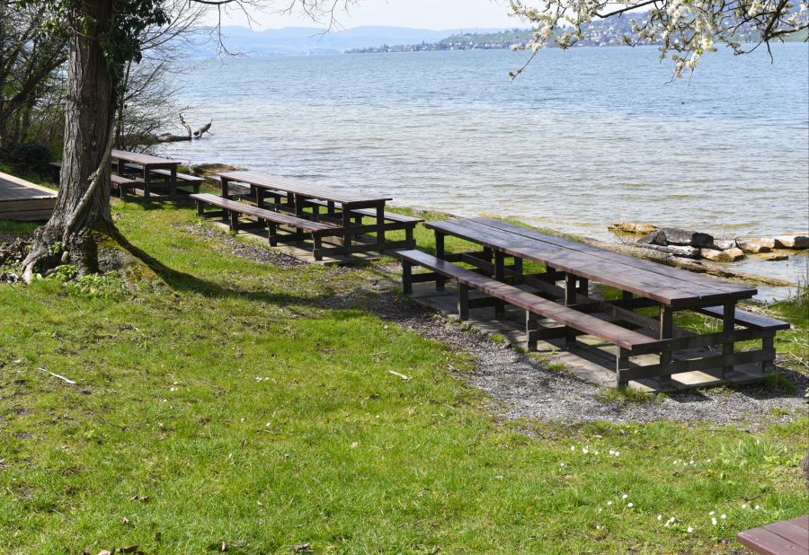 Natur, Idylle und noch viel mehr bietet die Insel Lützelau den Besuchenden.