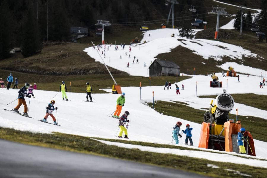 Auch im Skigebiet Wildhaus SG war es diesen Winter oft grün neben den Pisten.