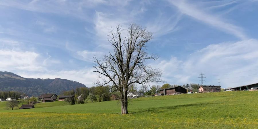 Einfahrtsstrasse von Schübelbach nach Tuggen.