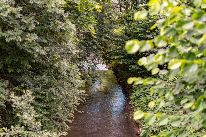Ein kleiner Bach in Oberkulm zwischen verschiedenen Felder.