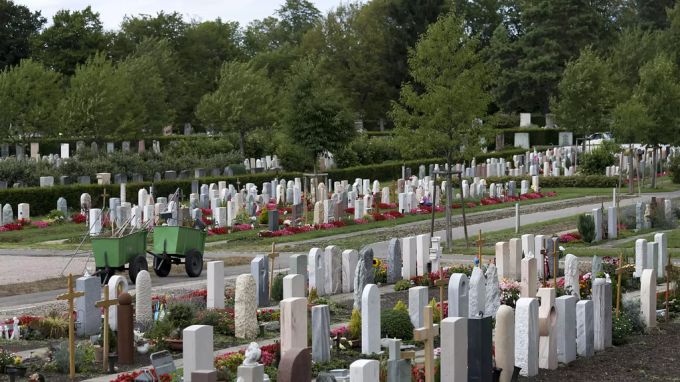 Weil die Rehe auf dem Friedhof Hörnli Schaden anrichten, will die Stadtgärtnerei einige von ihnen schiessen lassen. Rehe