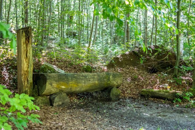 Im Leutwiler Wald kann man zwei Brunnen finden.