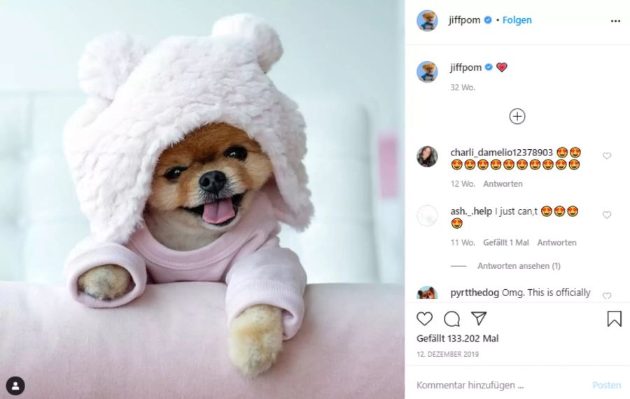 jiffpom