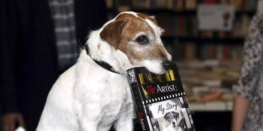 uggie