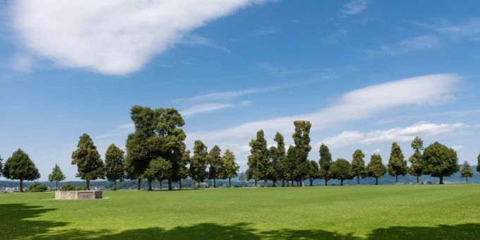 Ein Park in der Stadt Zofingen. Kindes- und Erwachsenenschutzrecht