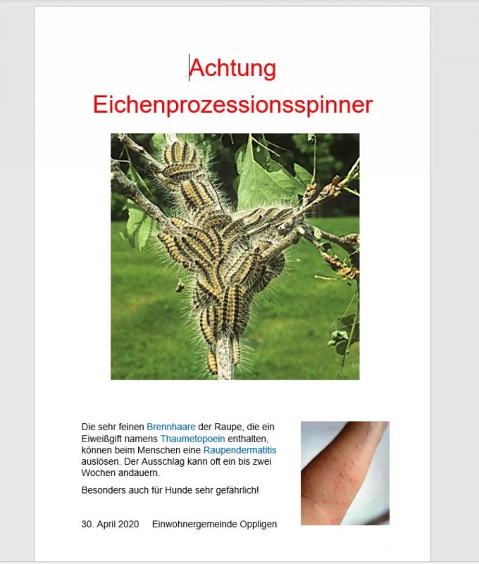 Diesen Warnhinweis hat die Gemeinde Oppligen an der betroffenen Eiche angebracht. Raupe Oppligen
