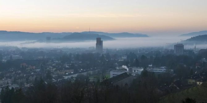 Winterthur Schweiz Spenden Pflanzen